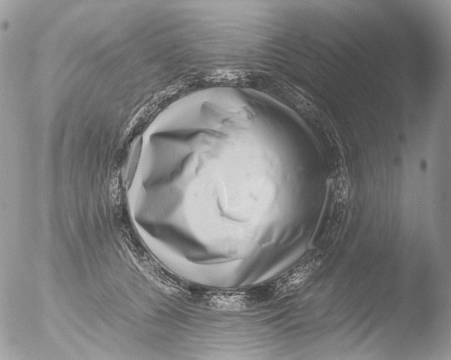 X0000051250560200507152152