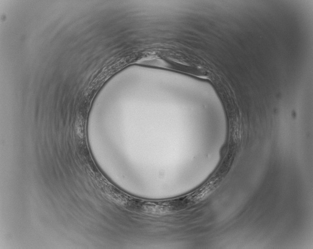 X0000051250561200507152152