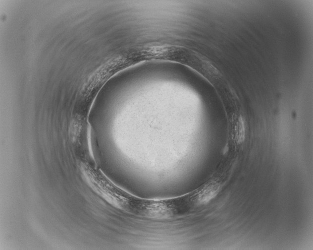 X0000051250562200507152152