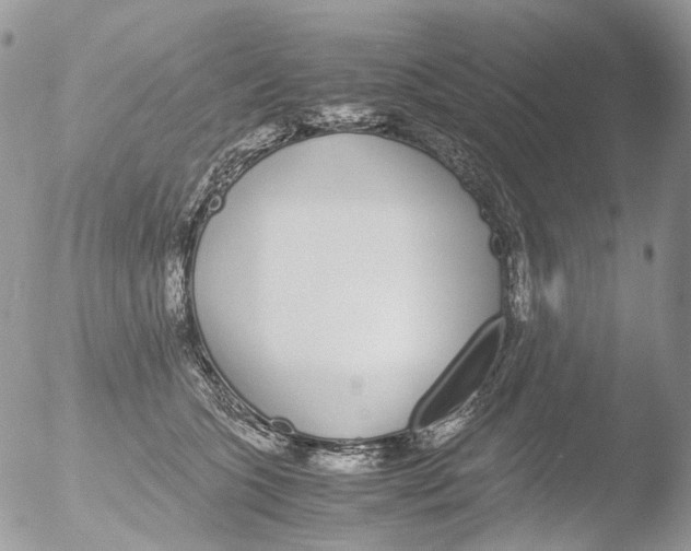 X0000051250563200507152152