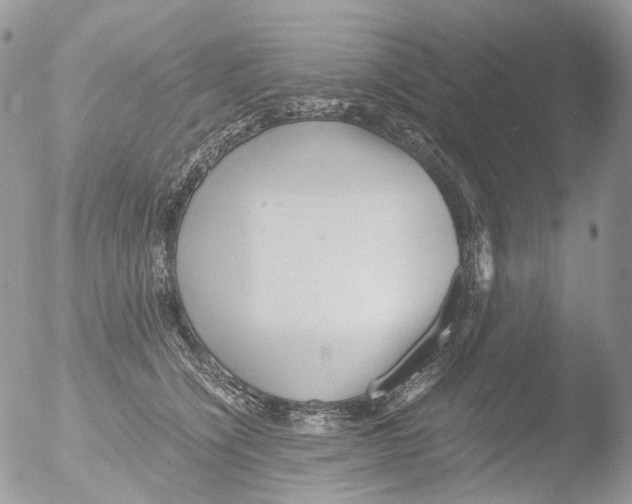 X0000051250564200507152152