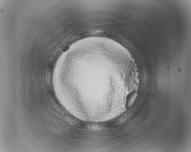 X0000051250565200507152152