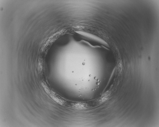 X0000051250566200507152152