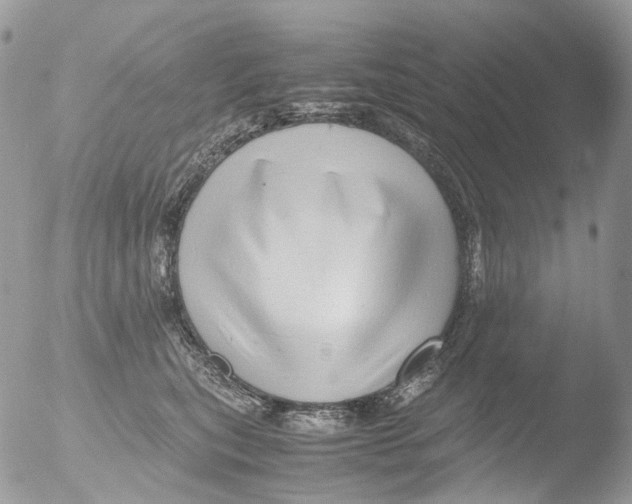 X0000051250567200507152152