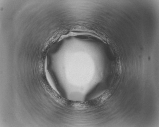 X0000051250568200507152152