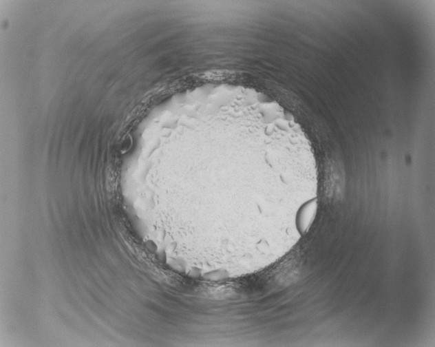 X0000051250569200507152152