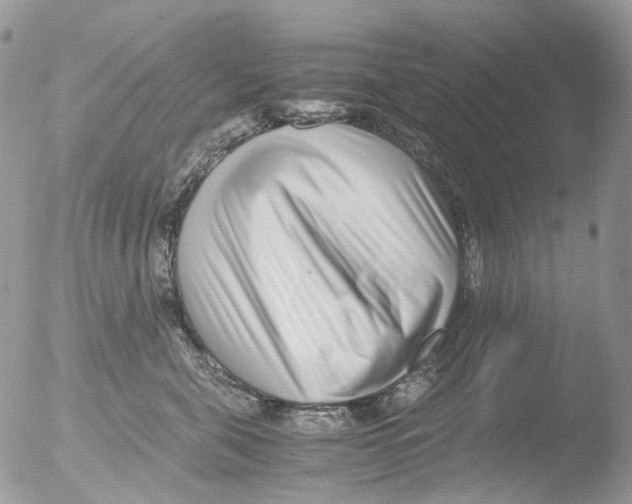 X0000051250571200507152152