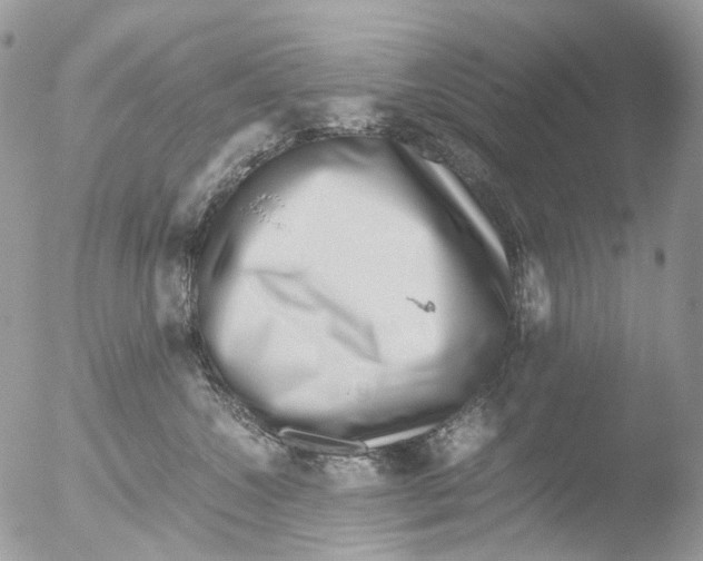 X0000051250572200507152152