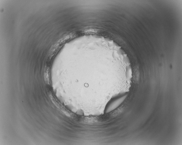 X0000051250573200507152152