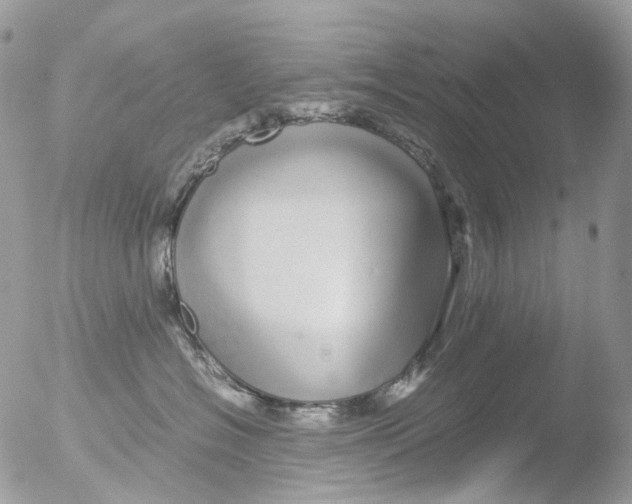 X0000051250574200507152152