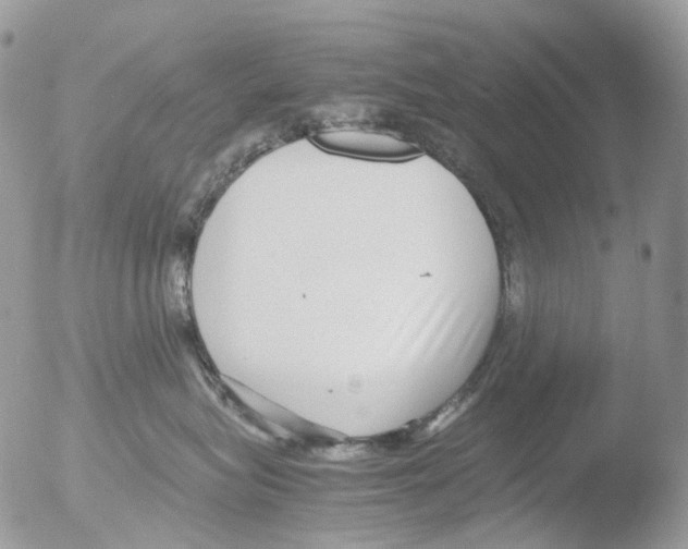 X0000051250575200507152153