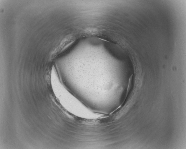 X0000051250576200507152153