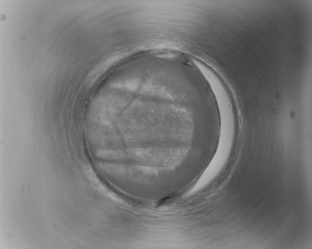 X0000051250577200507152152