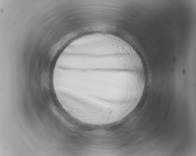 X0000051250578200507152152