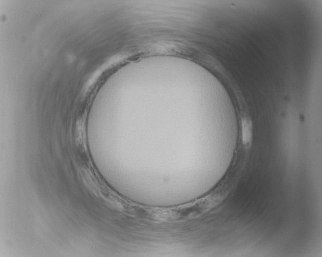 X0000051250579200507152152