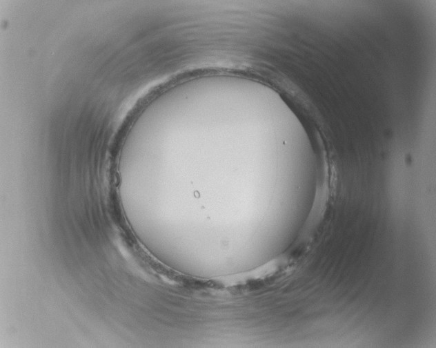 X0000051250580200507152152