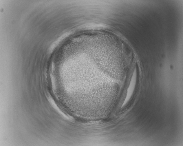 X0000051250581200507152152