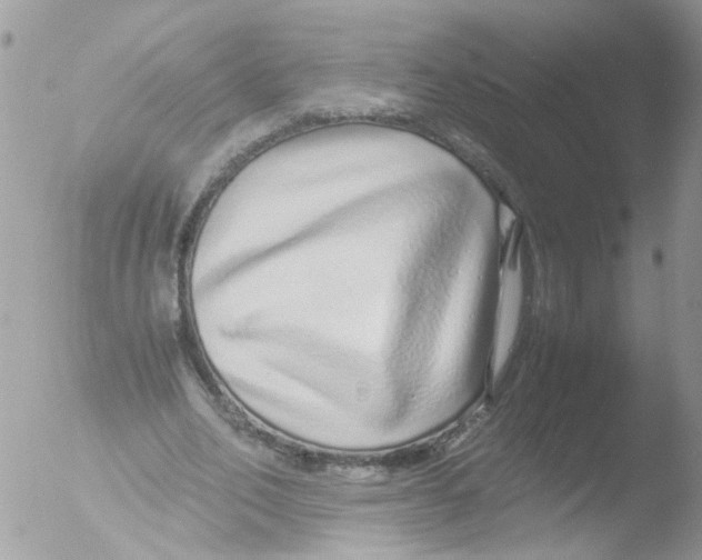 X0000051250582200507152152