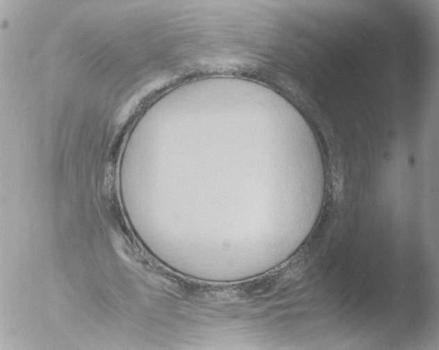 X0000051250583200507152152