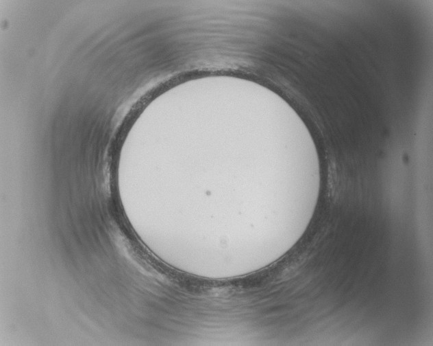 X0000051250584200507152152