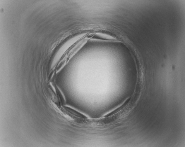 X0000051250585200507152152