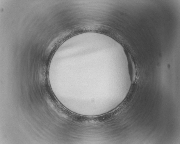 X0000051250586200507152152