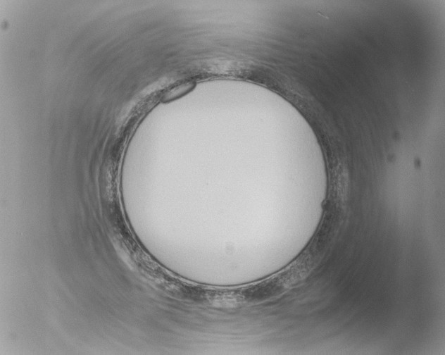 X0000051250587200507152152