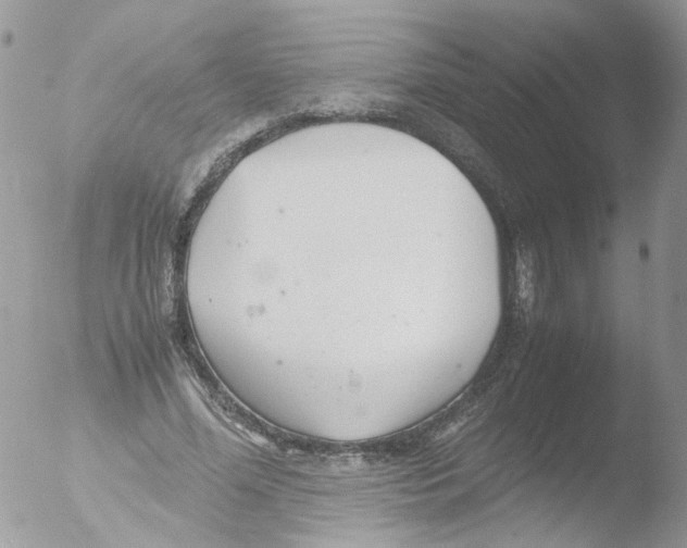 X0000051250588200507152152