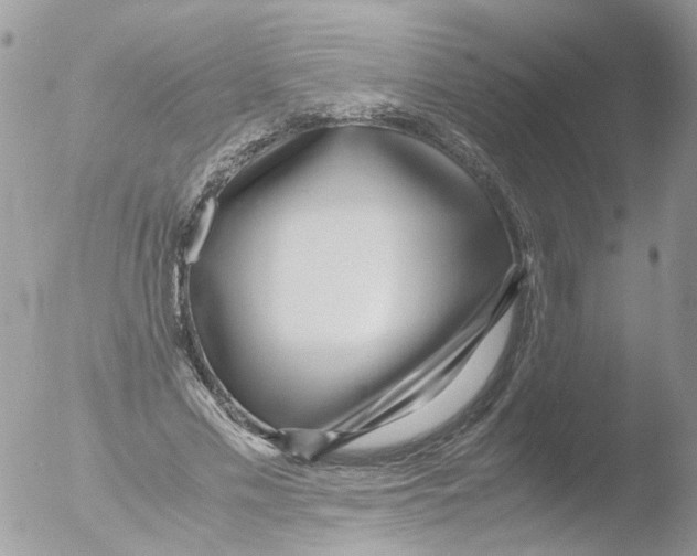 X0000051250589200507152152