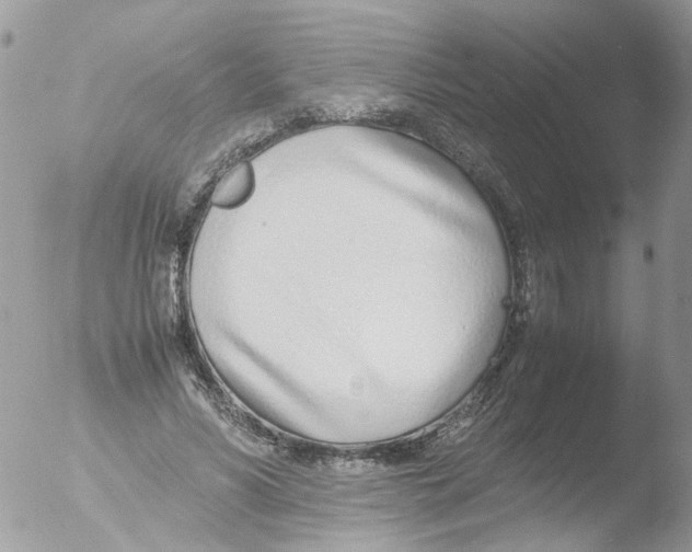 X0000051250590200507152151