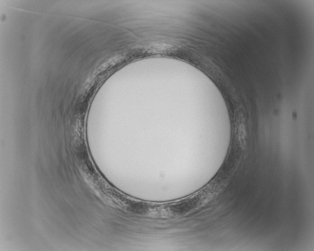 X0000051250591200507152151