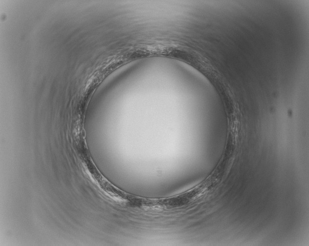 X0000051250593200507152151