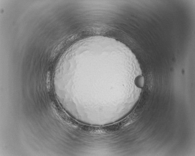 X0000051250594200507152151