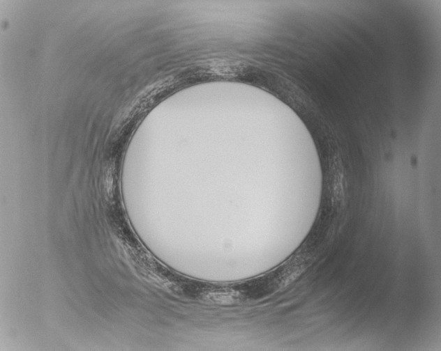 X0000051250595200507152151