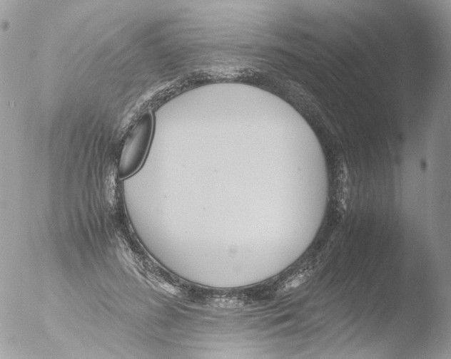 X0000051250596200507152151