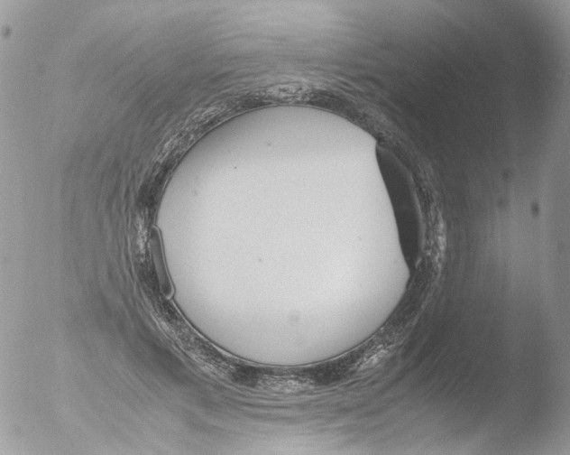 X0000051250597200507152151