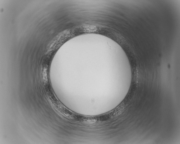 X0000051250598200507152151