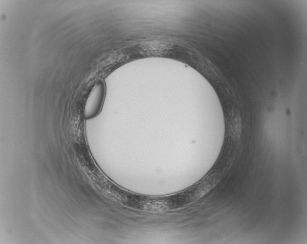 X0000051250599200507152151