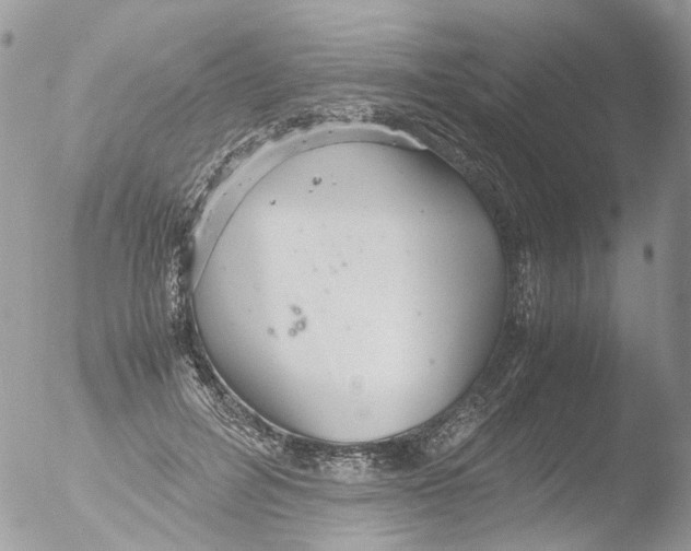 X0000051250600200507152151