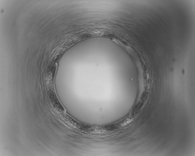 X0000051250601200507152151