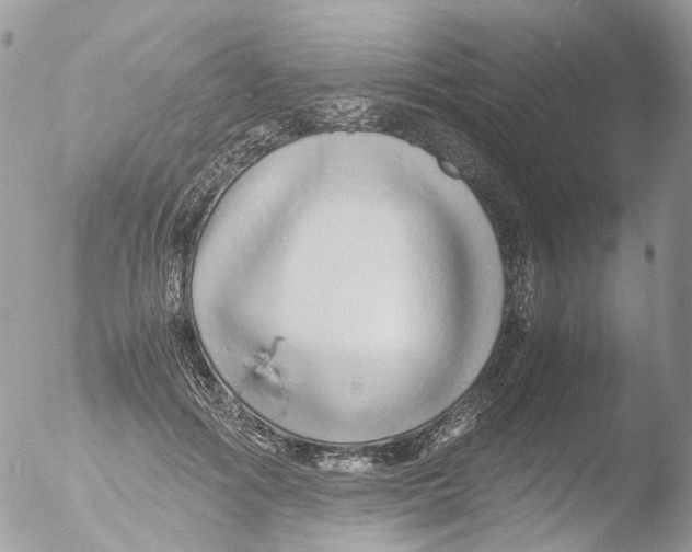 X0000051250602200507152151