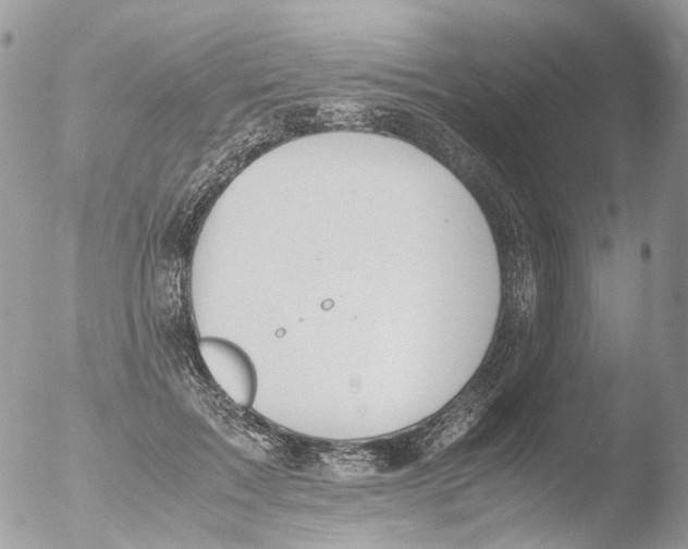 X0000051250603200507152151