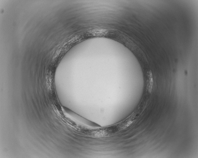 X0000051250604200507152151