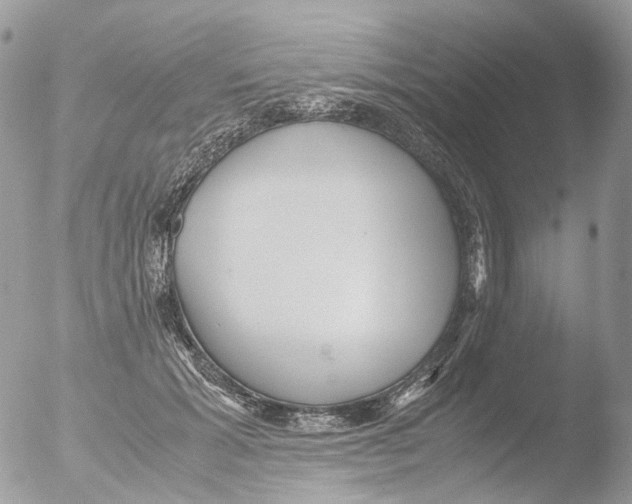 X0000051250605200507152151