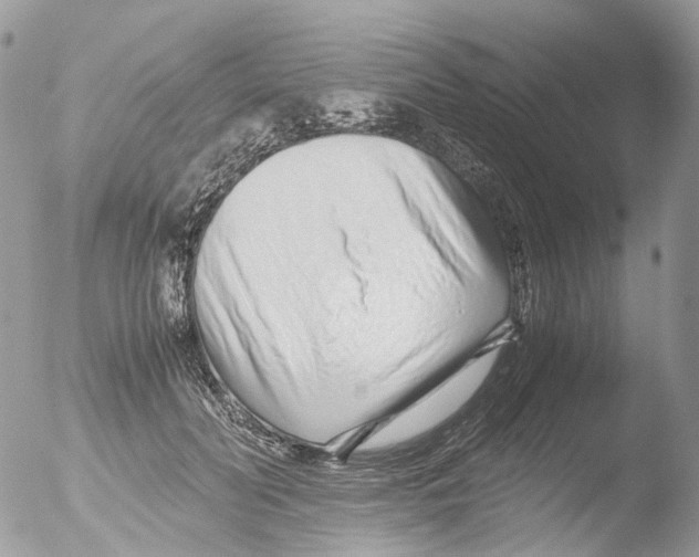 X0000051250606200507152151