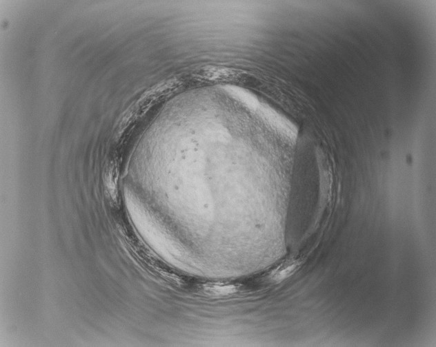 X0000051250607200507152151