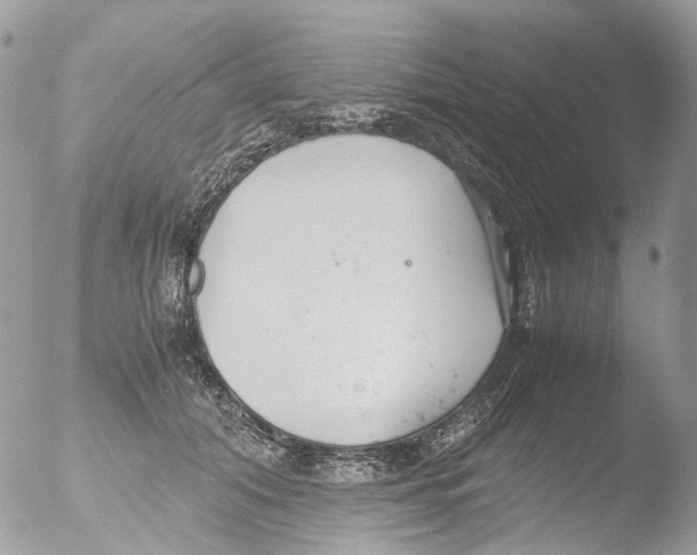 X0000051250608200507152151