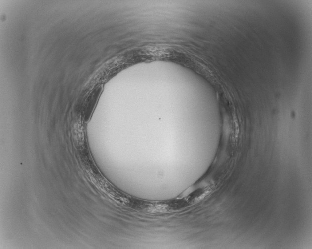 X0000051250609200507152151