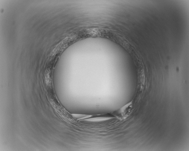 X0000051250611200507152151