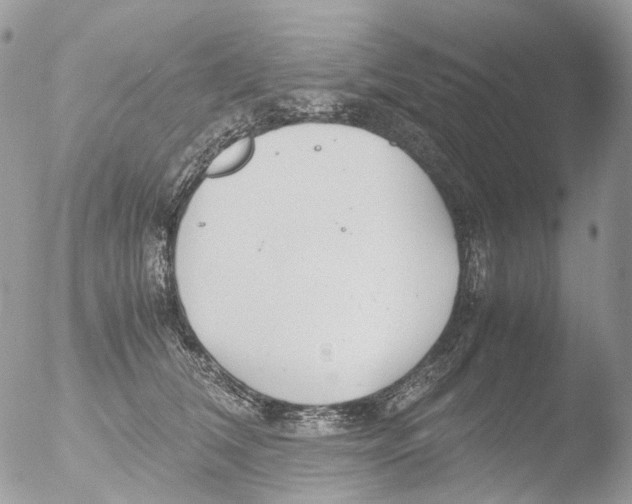 X0000051250612200507152151